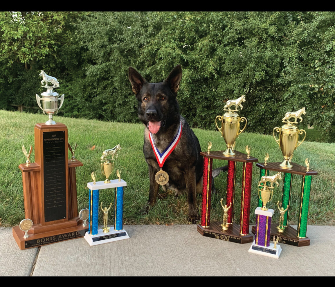 Dax and trophies