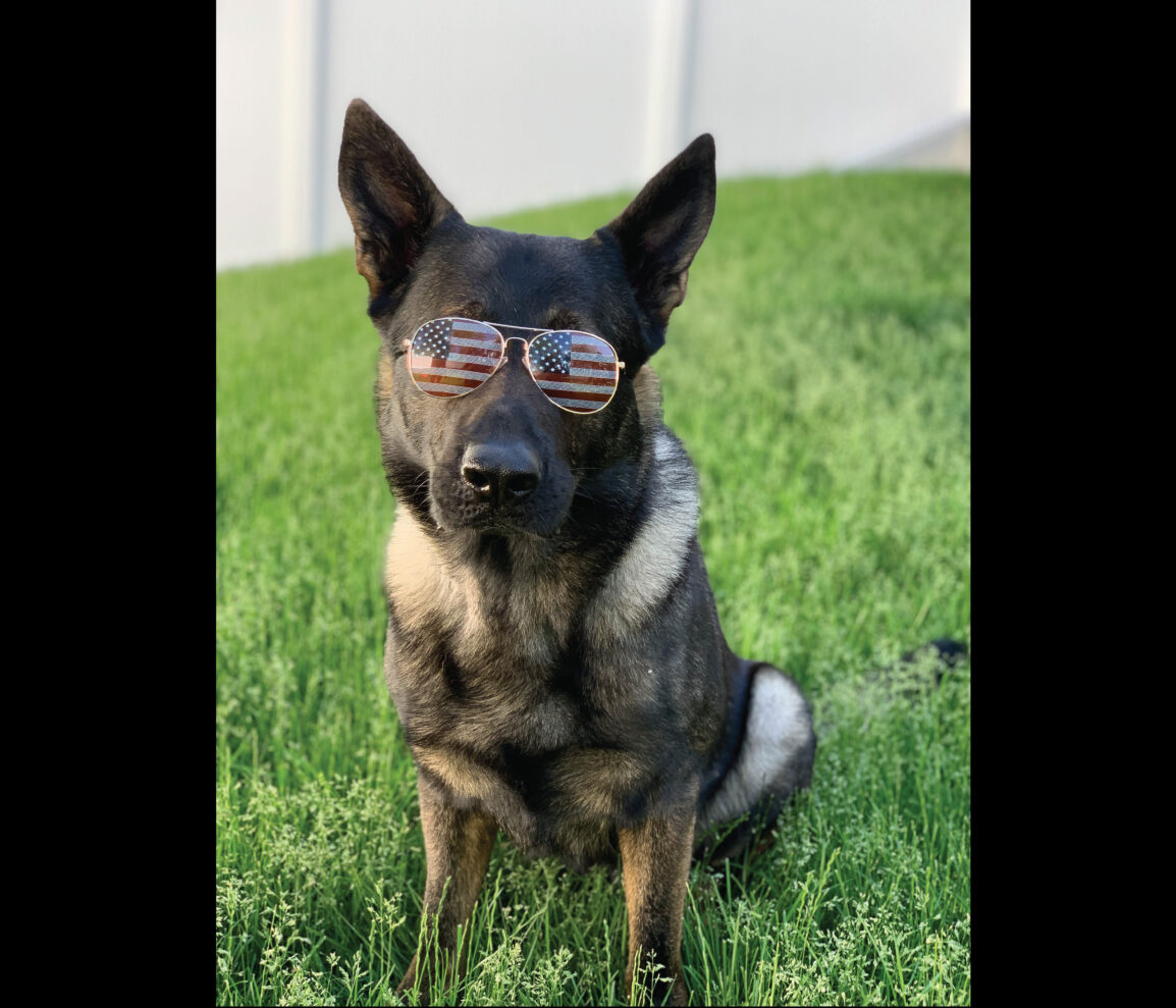 Dax_USA_Sunglasses