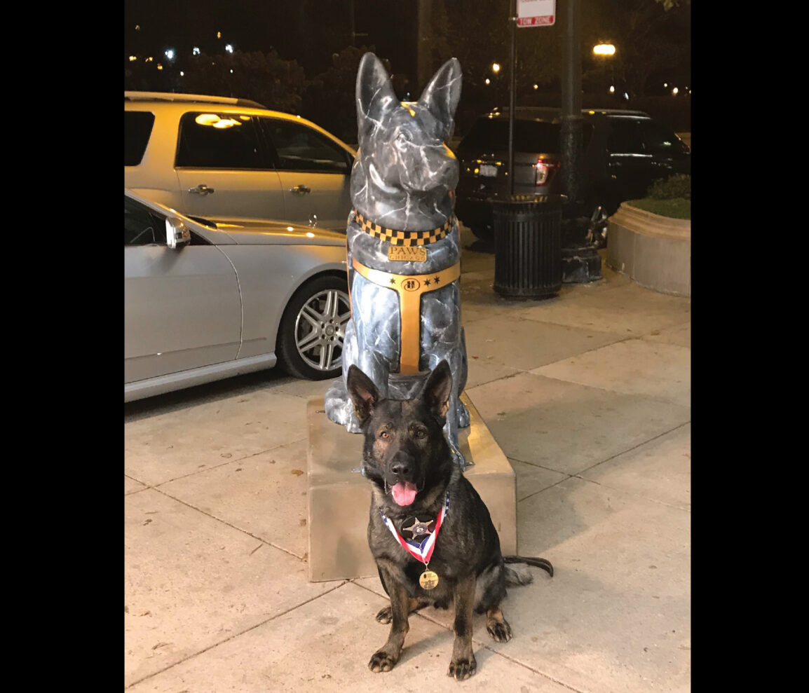 Dax_with_Chicago_Paws_statue